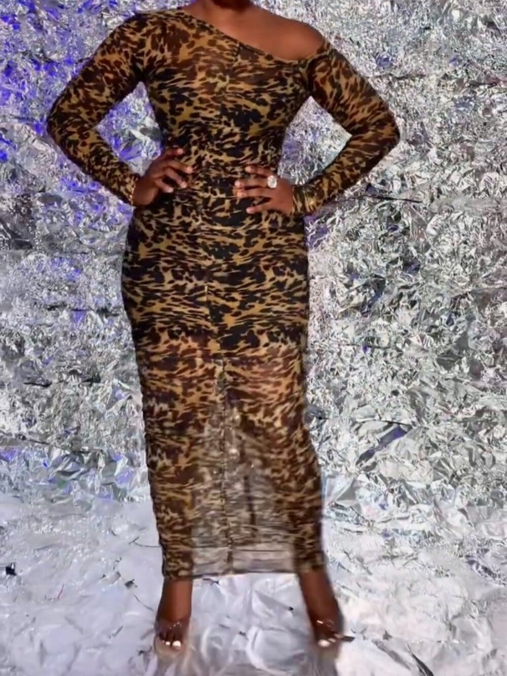 Women Fitted Leopard Print Dress